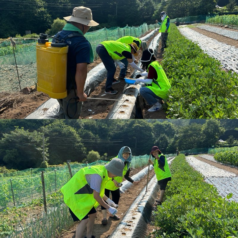 동부동 지역사회보장협의체, 취약계층을 위해 사용될 농산물 직접 재배